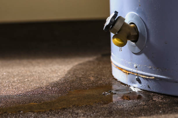 Best Water damage cleanup near me  in Eastland, TX