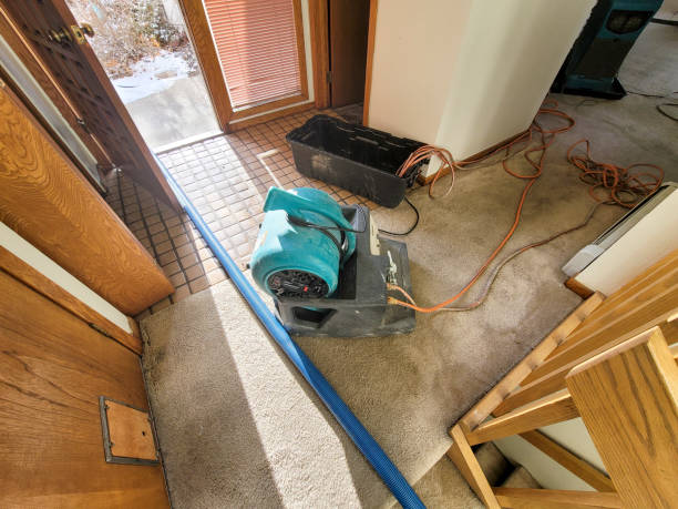 Best Commercial water damage restoration  in Eastland, TX