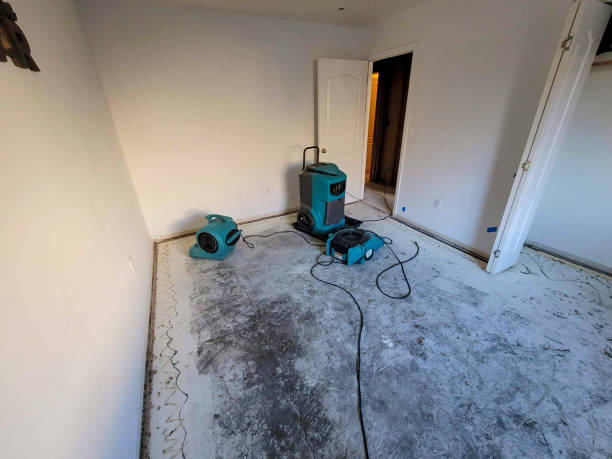Best Flood damage cleanup  in Eastland, TX