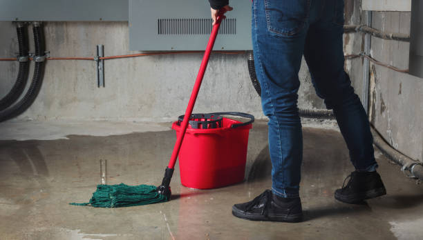 Best Local water damage restoration  in Eastland, TX