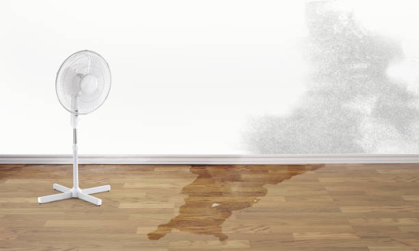 Best Ceiling water damage repair  in Eastland, TX