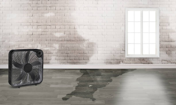 Best Water damage restoration near me  in Eastland, TX