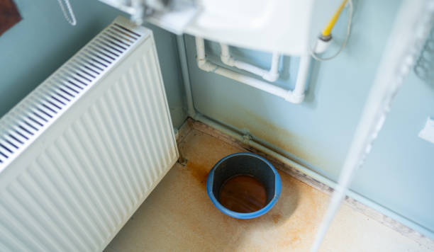 Best Water damage mitigation services  in Eastland, TX
